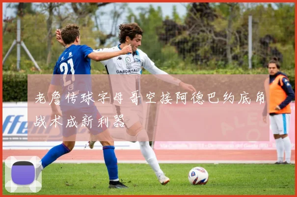 老詹传球字母哥空接阿德巴约底角战术成新利器